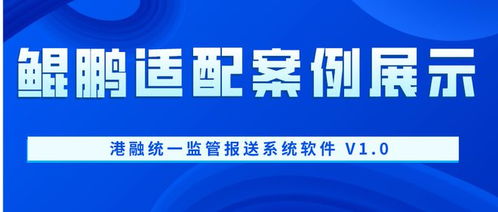 鯤鵬適配案例展示 港融統(tǒng)一監(jiān)管報送系統(tǒng)軟件 v1.0 與信息技術咨詢服務